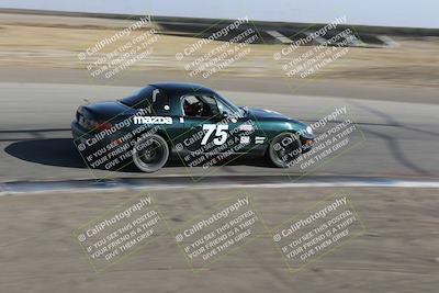 media/Nov-04-2023-CalClub SCCA (Sat) [[cb7353a443]]/Group 3/Cotton Corners (Race)/